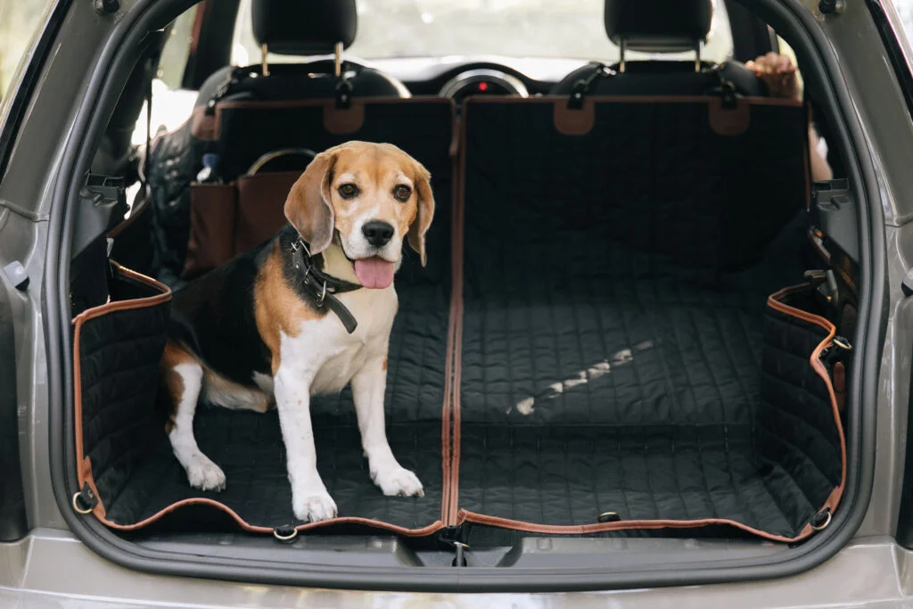 Toyota Corolla dog seat cover
