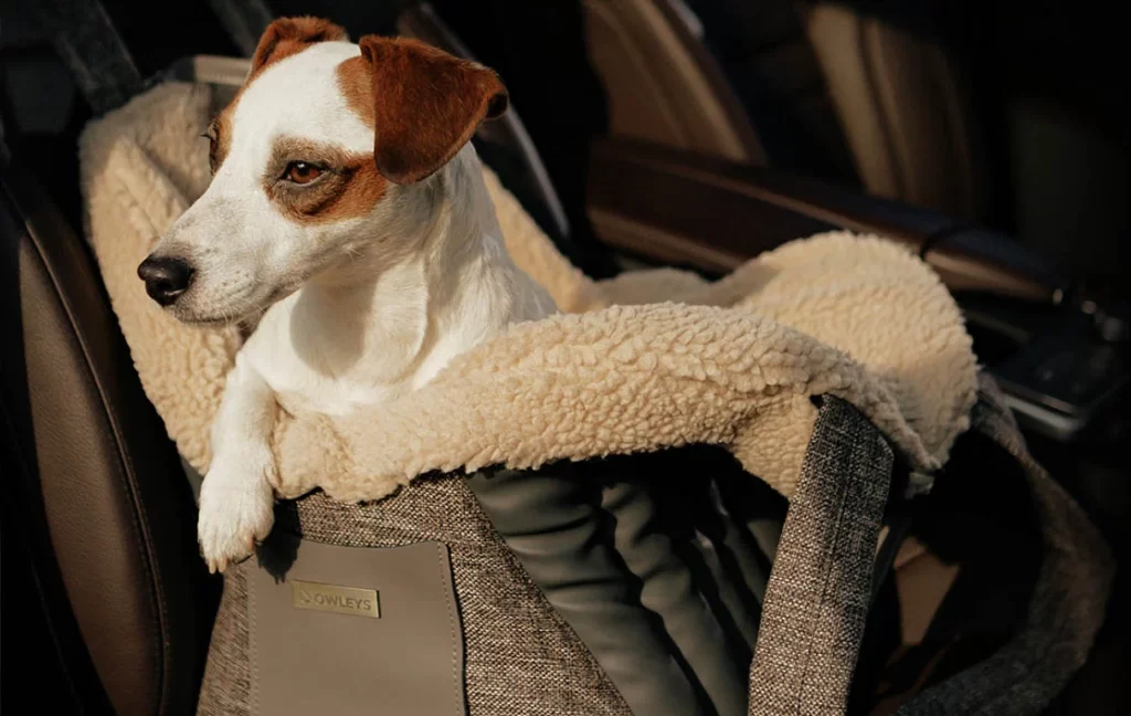 dog back seat carrier