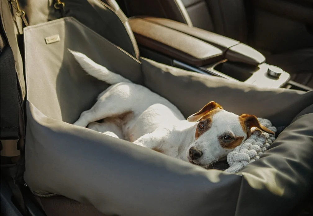 best dog bed for the car