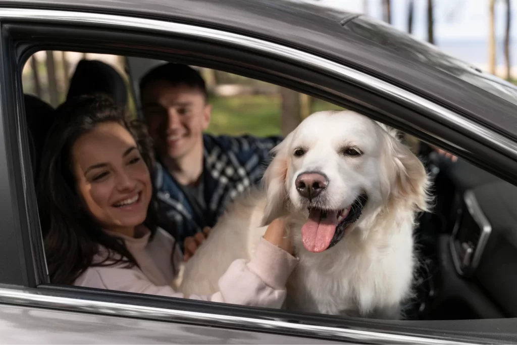 Ford F-Series Dog Car Seat Belt for Labrador Retrievers